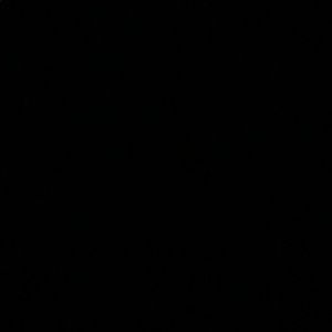 Meet your Posher, Aleyah